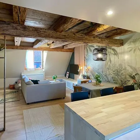 L'eden Du Vignoble - Centre Historique De Barr