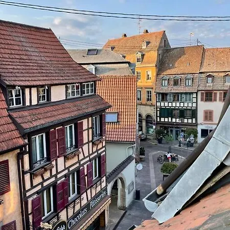 Apartamento L'eden Du Vignoble - Centre Historique De *