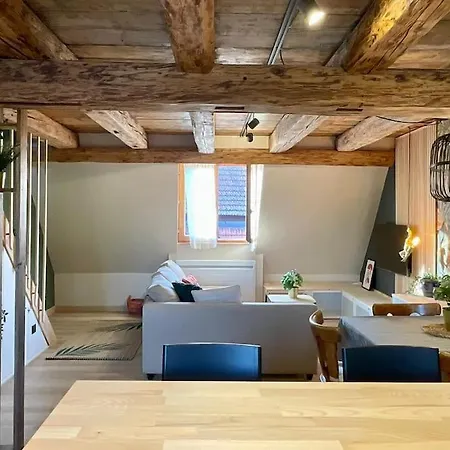 L'eden Du Vignoble - Centre Historique De Apartamento *