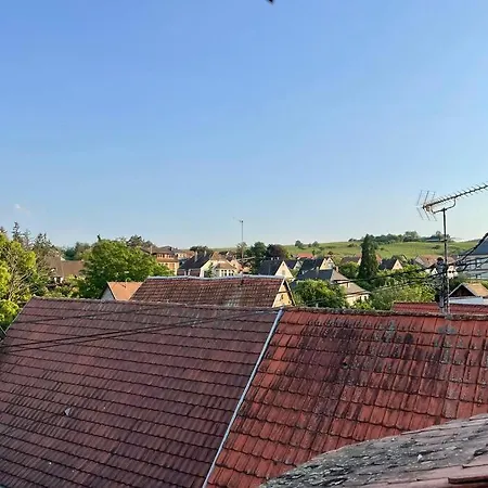 L'eden Du Vignoble - Centre Historique De * Barr