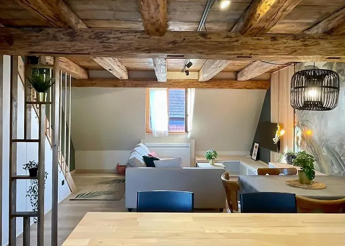 L'eden Du Vignoble - Centre Historique De Appartement *